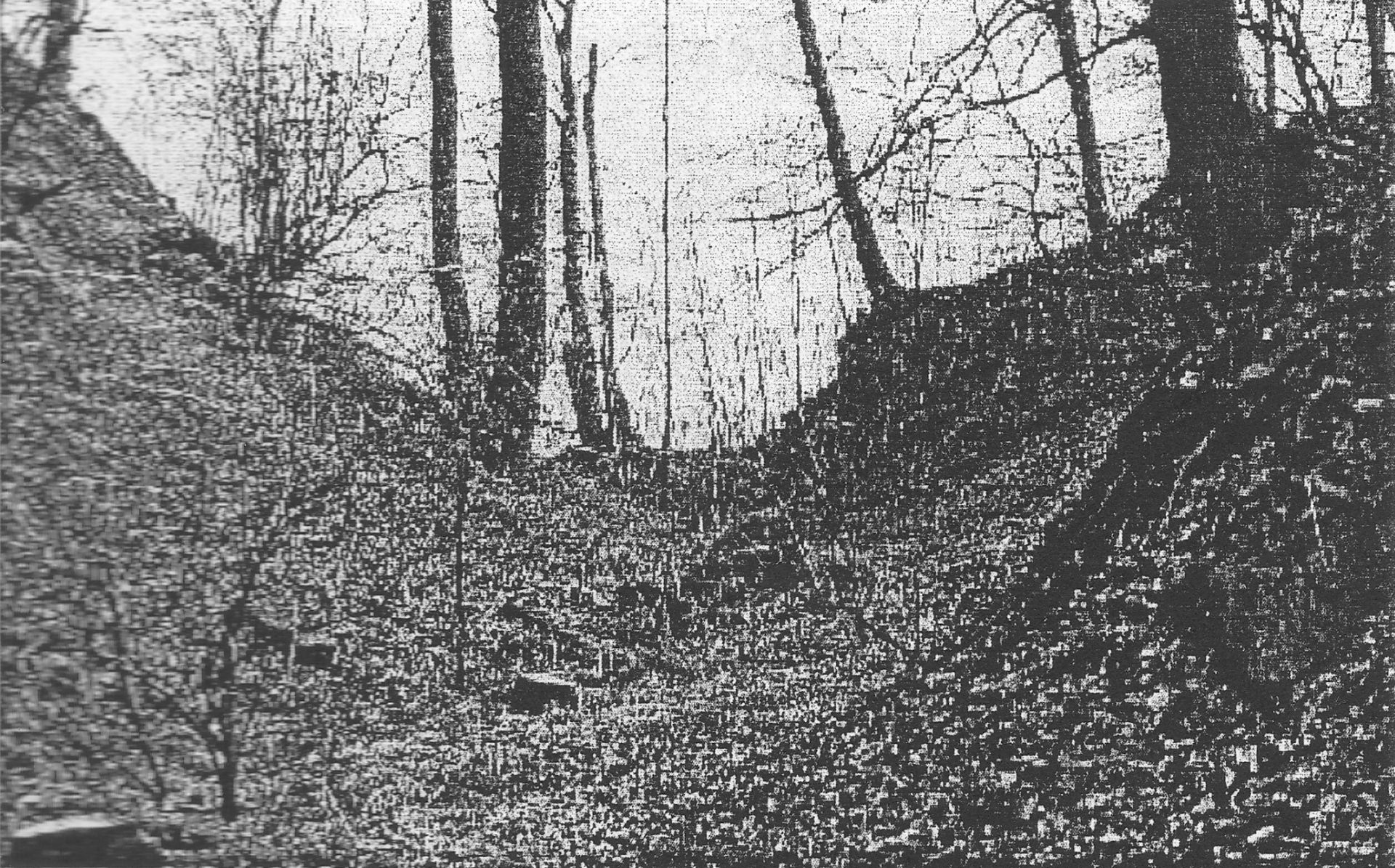 Wall und Graben am Everstein